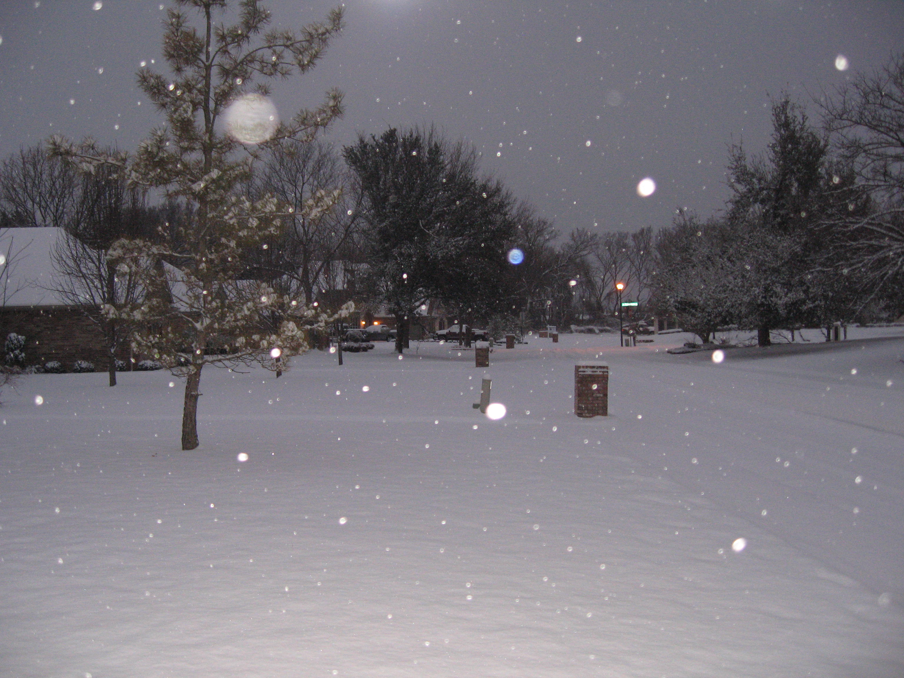 11 Super Bowl Snow 003